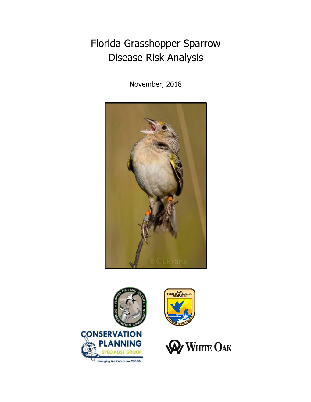 Florida Grasshopper Sparrow Disease Risk Analysis