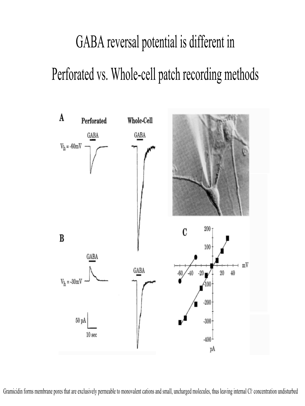 GABA Reversal Potential Is Different in Perforated Vs. Whole-Cell Patch Recording Methods