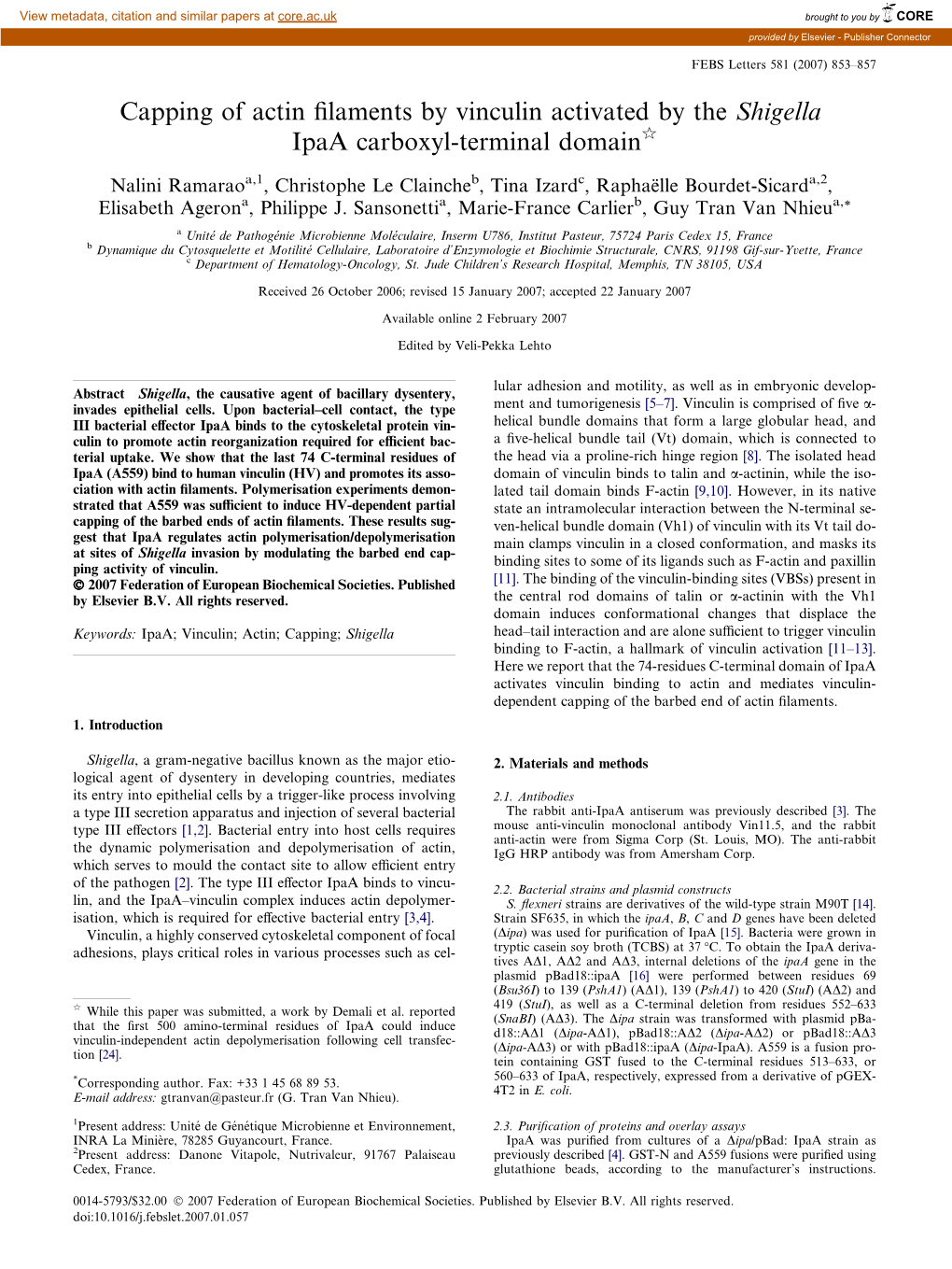 Capping of Actin Filaments by Vinculin Activated by the Shigella Ipaa