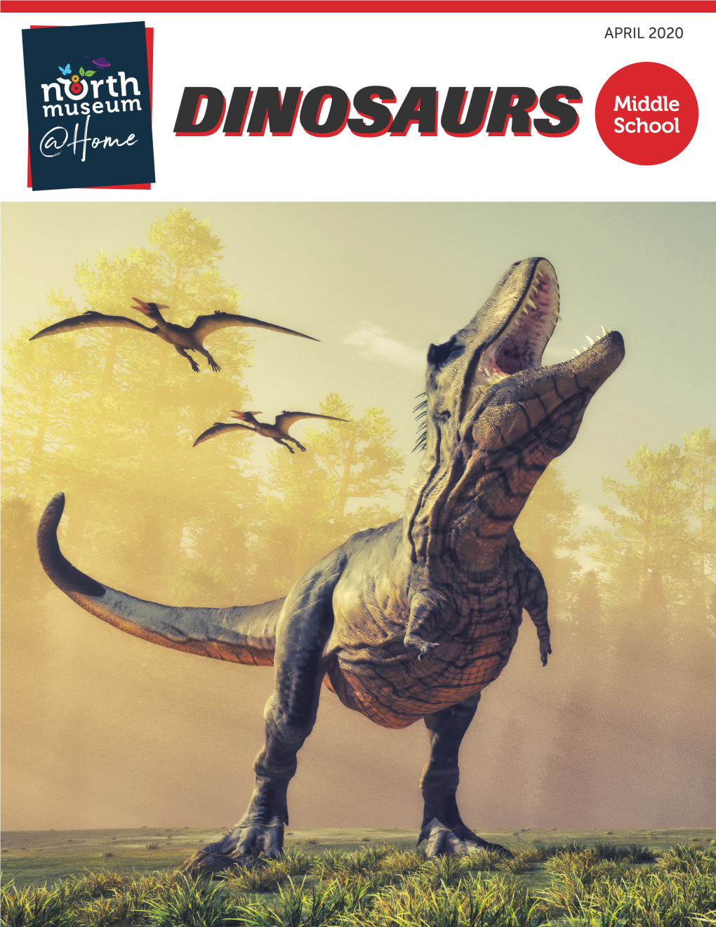 Nm-Athome-Dinosaurs-Ms.Pdf