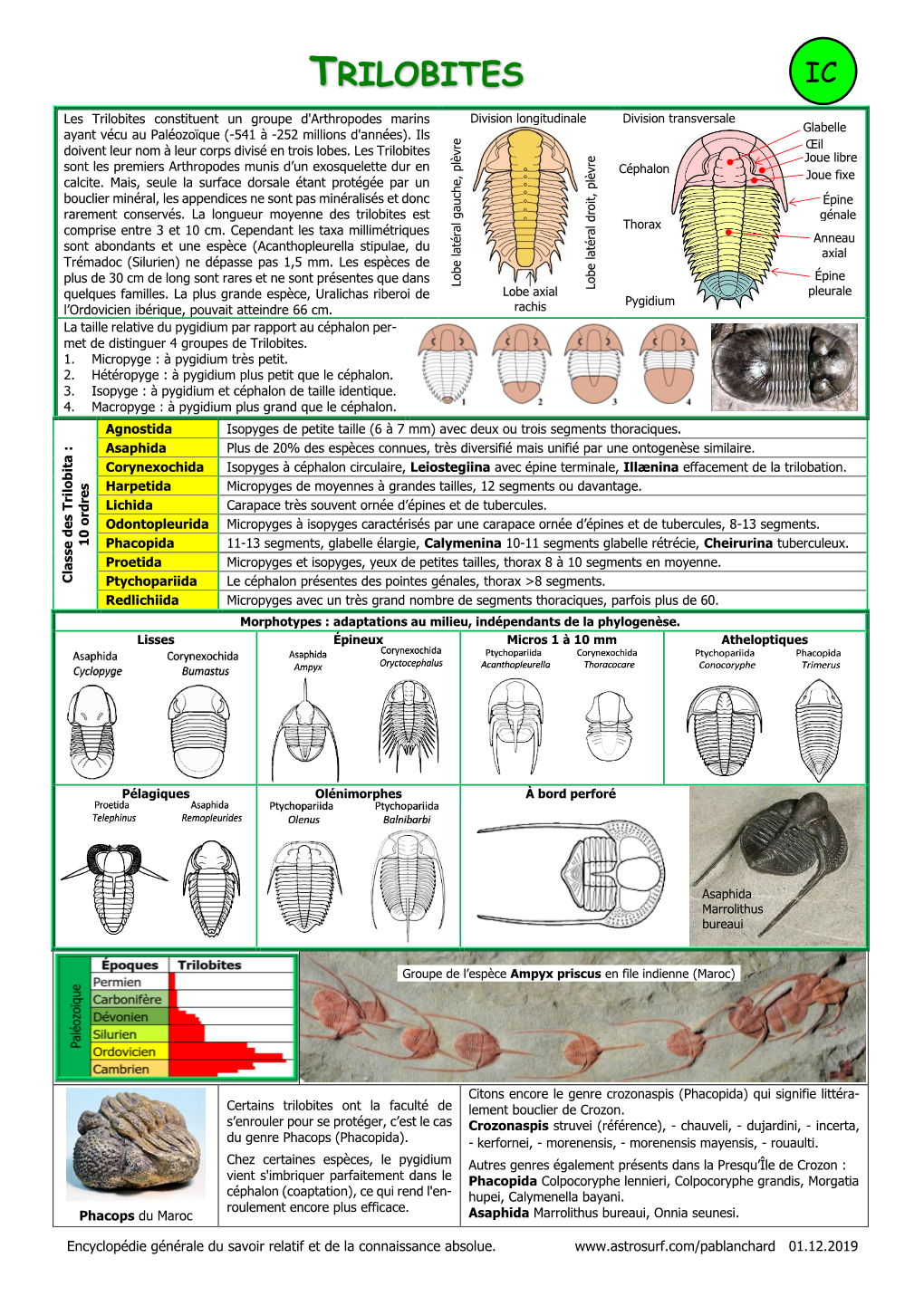 Trilobites Ic