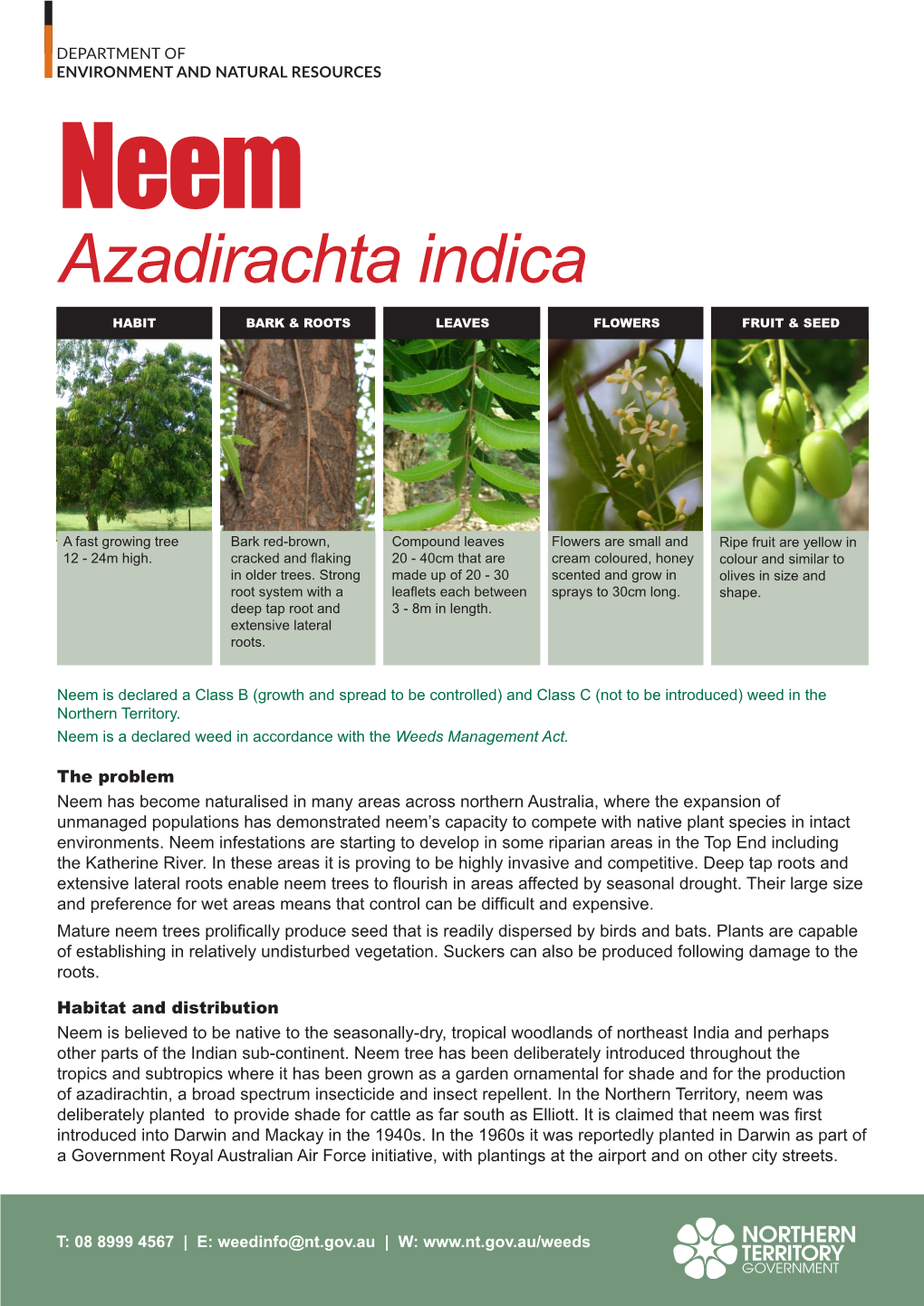 Azadirachta Indica