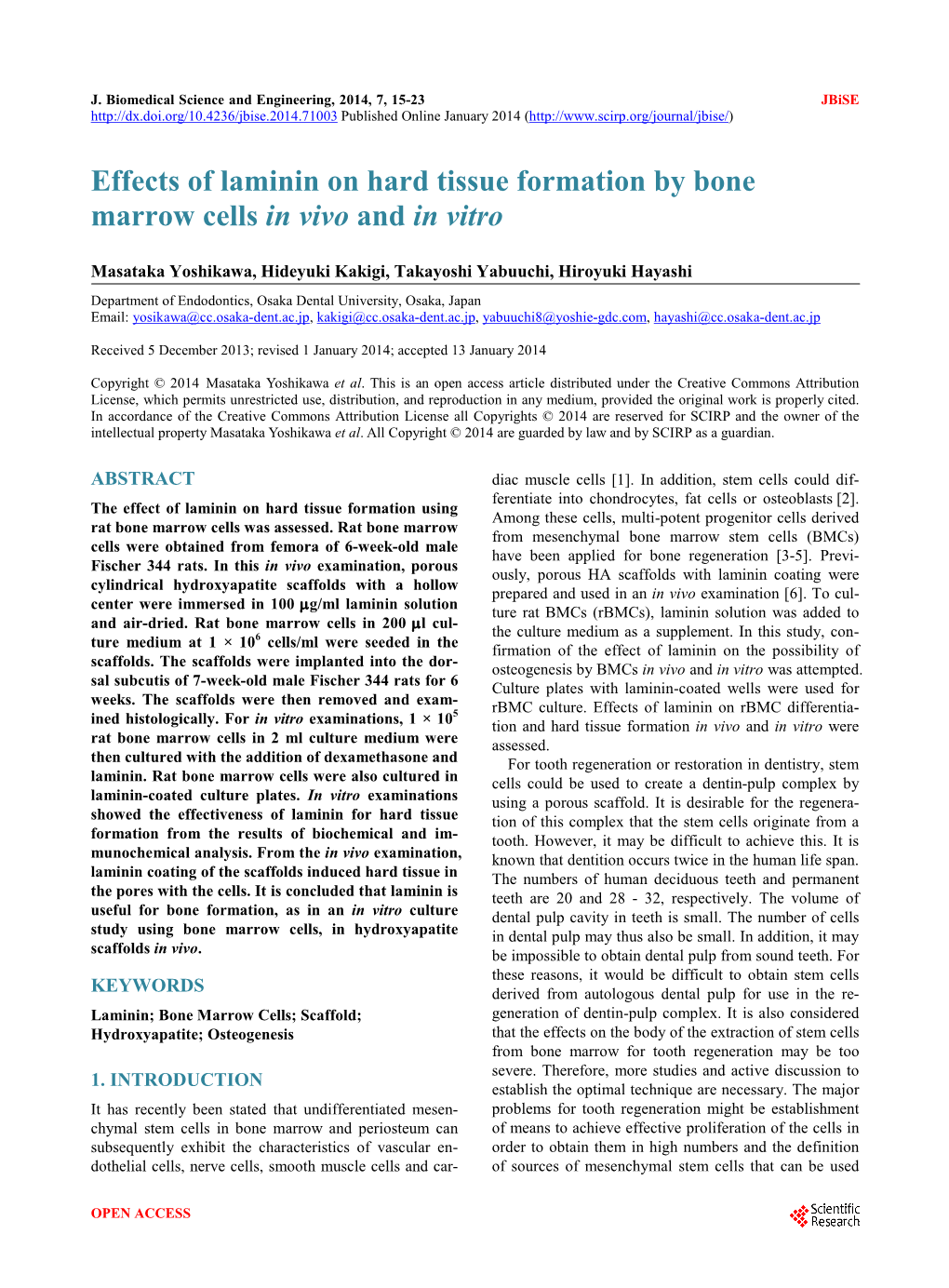 Effects of Laminin on Hard Tissue Formation by Bone Marrow Cells in Vivo and in Vitro