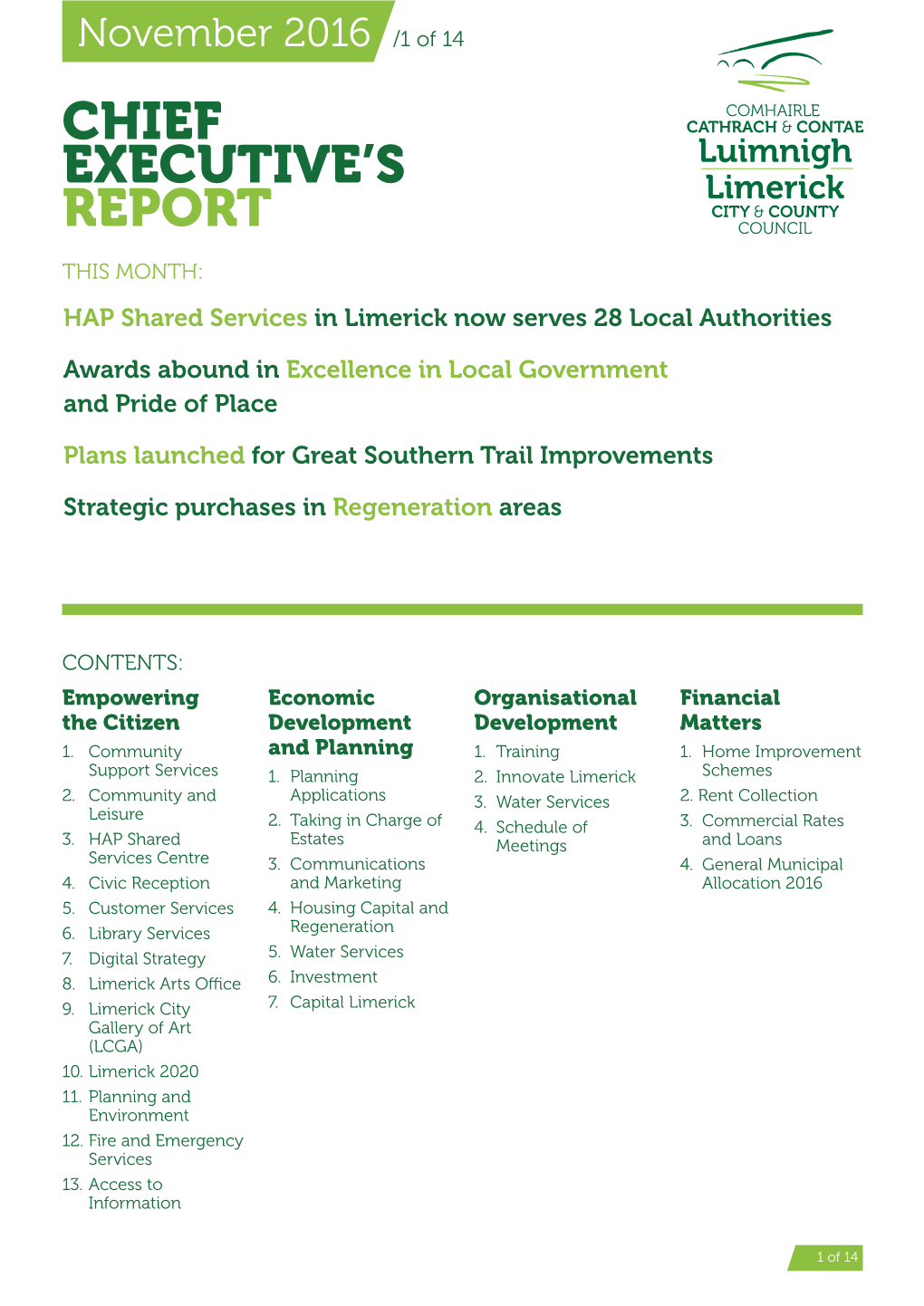 Chief Executive's Report