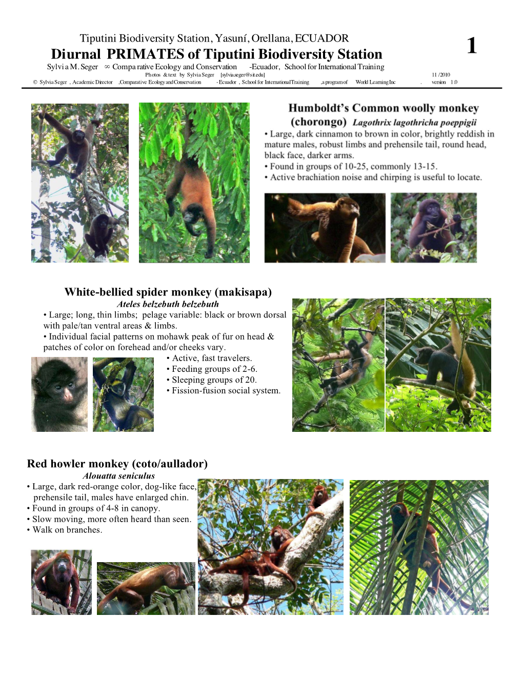 Diurnal PRIMATES of Tiputini Biodiversity Station 1 Sylvi a M