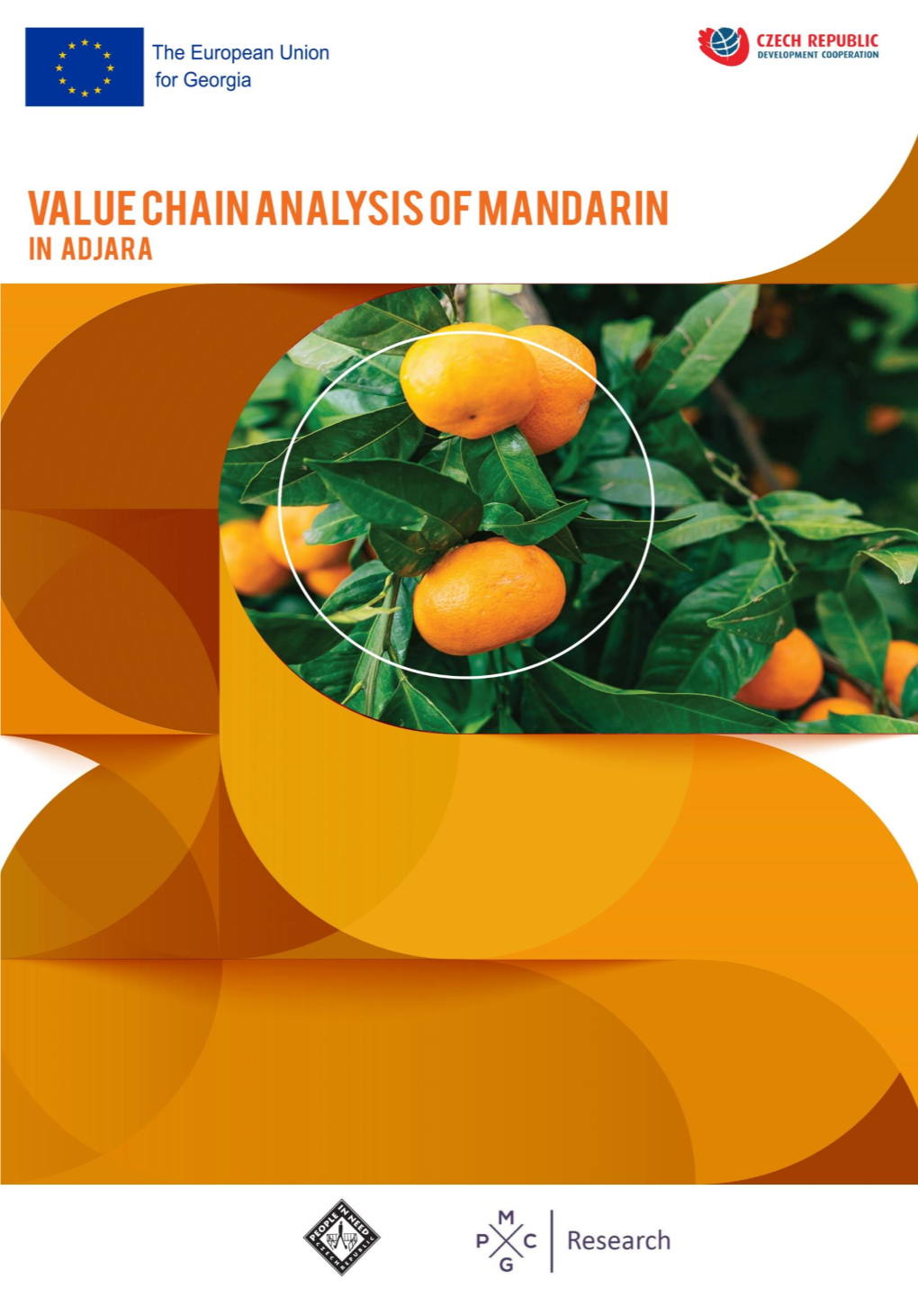 Value Chain Analysis of Mandarin