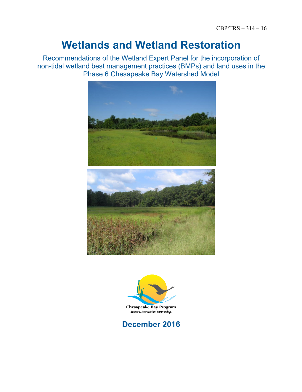 Wetlands and Wetland Restoration