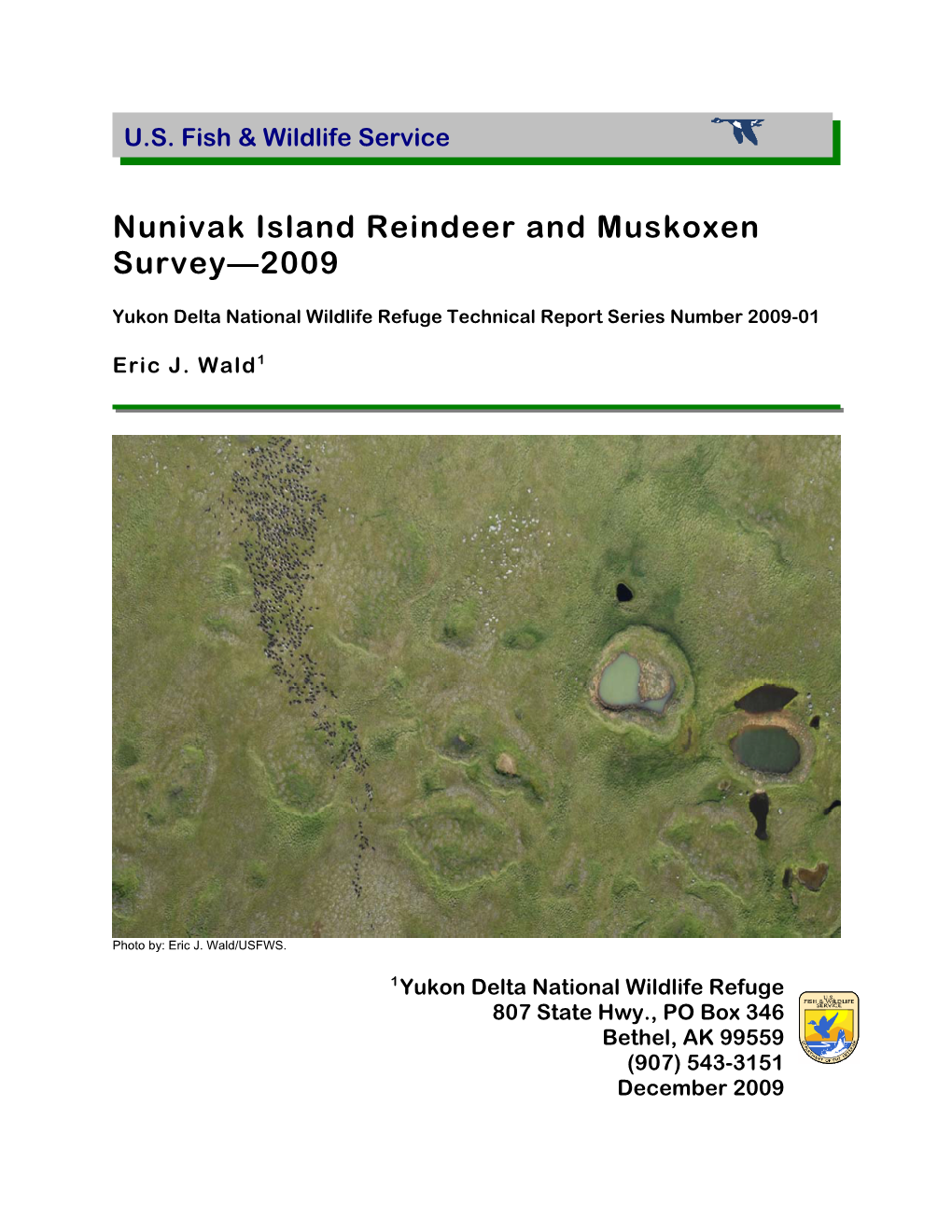 Nunivak Island Reindeer and Muskoxen Survey—2009