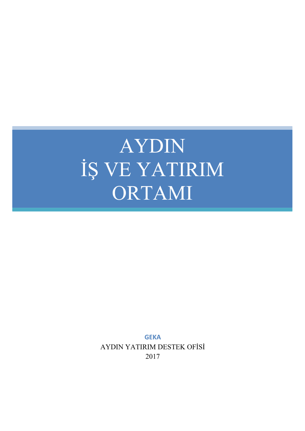 Aydin Iş Ve Yatirim Ortami