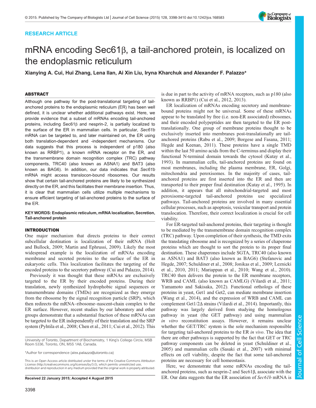 Mrna Encoding Sec61β, a Tail-Anchored Protein, Is Localized on the Endoplasmic Reticulum Xianying A