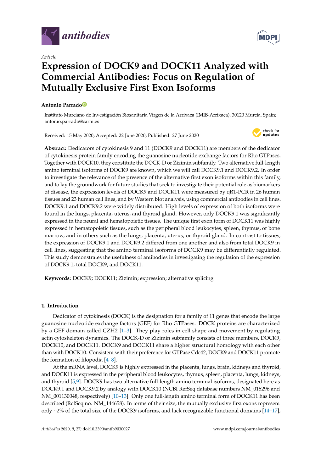 Expression of DOCK9 and DOCK11 Analyzed with Commercial Antibodies: Focus on Regulation of Mutually Exclusive First Exon Isoforms