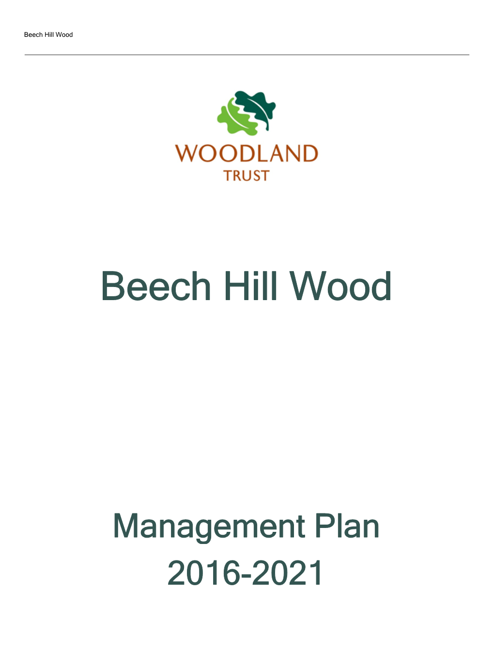 Beech Hill Wood