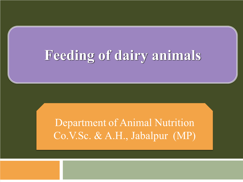 Dairy-Cattle-Feeding.Pdf