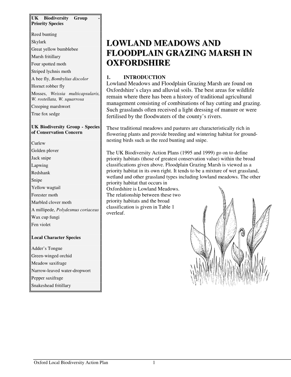 Lowland Meadows and Floodplain Grazing Marsh Are Found on Oxfordshire’S Clays and Alluvial Soils