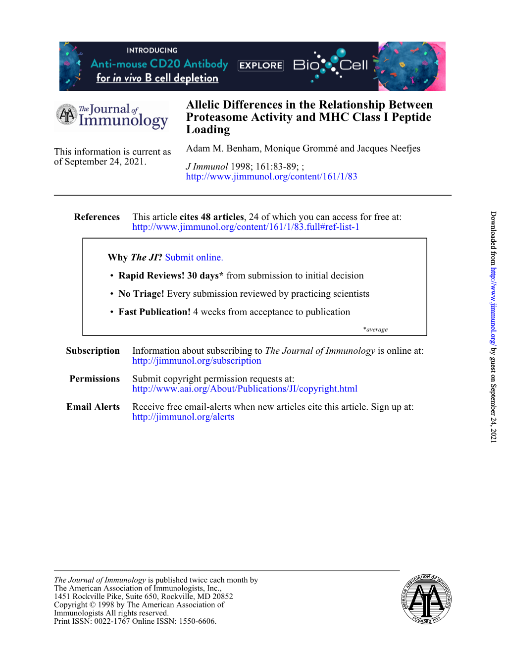 Loading Proteasome Activity and MHC Class I Peptide Allelic Differences in the Relationship Between