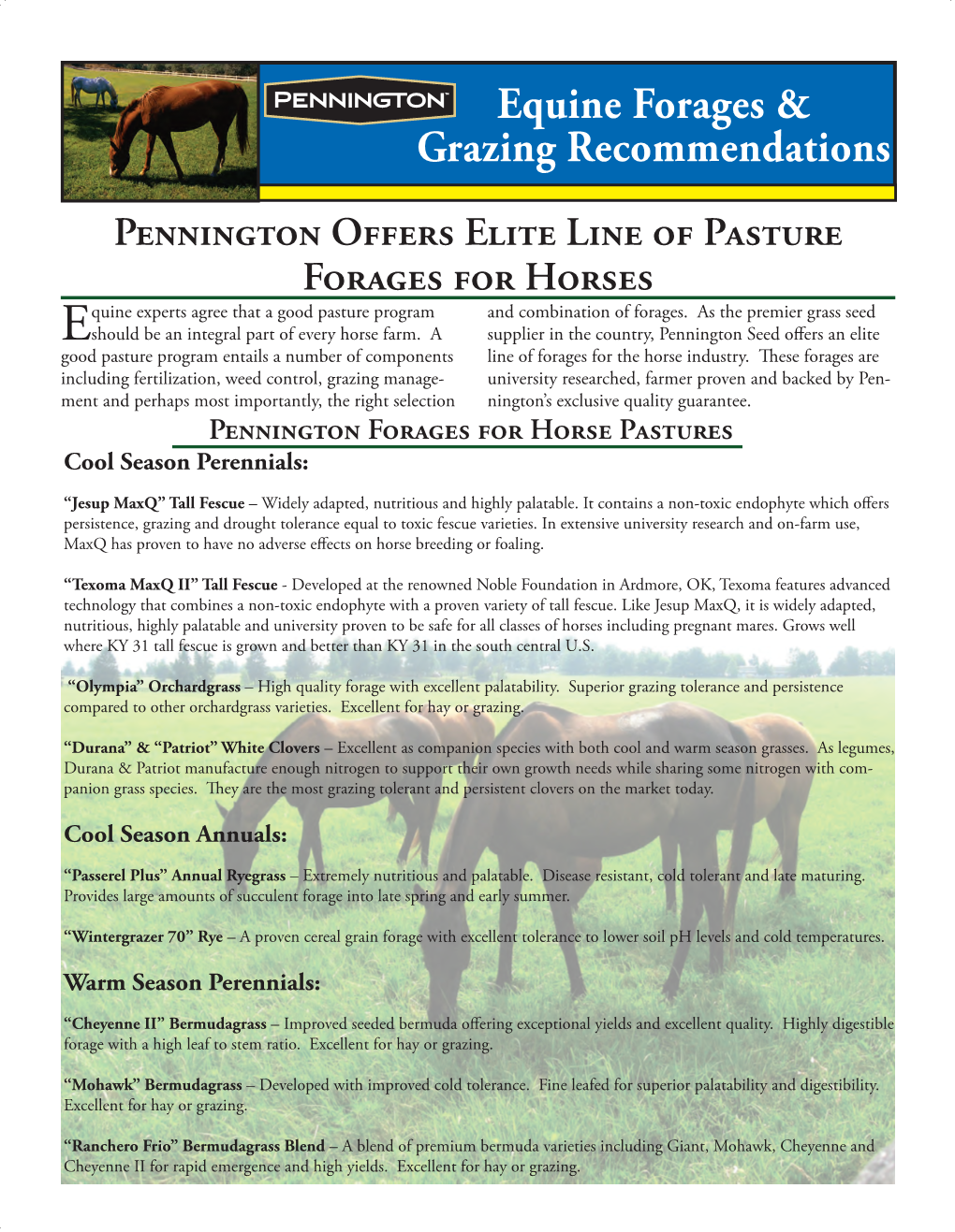 Equine Forages & Grazing Recommendations