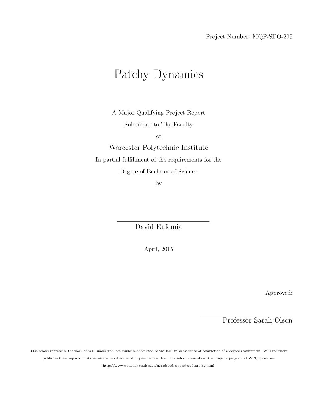 Patchy Dynamics