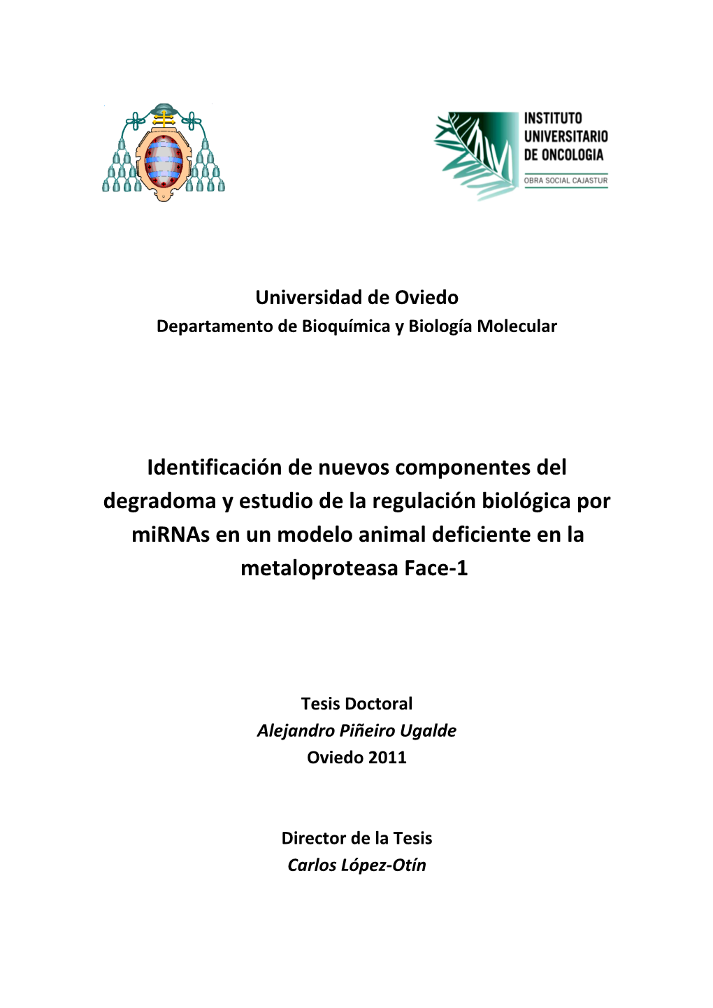 Tesis Doctoral Alejandro Piñeiro Ugalde Oviedo 2011