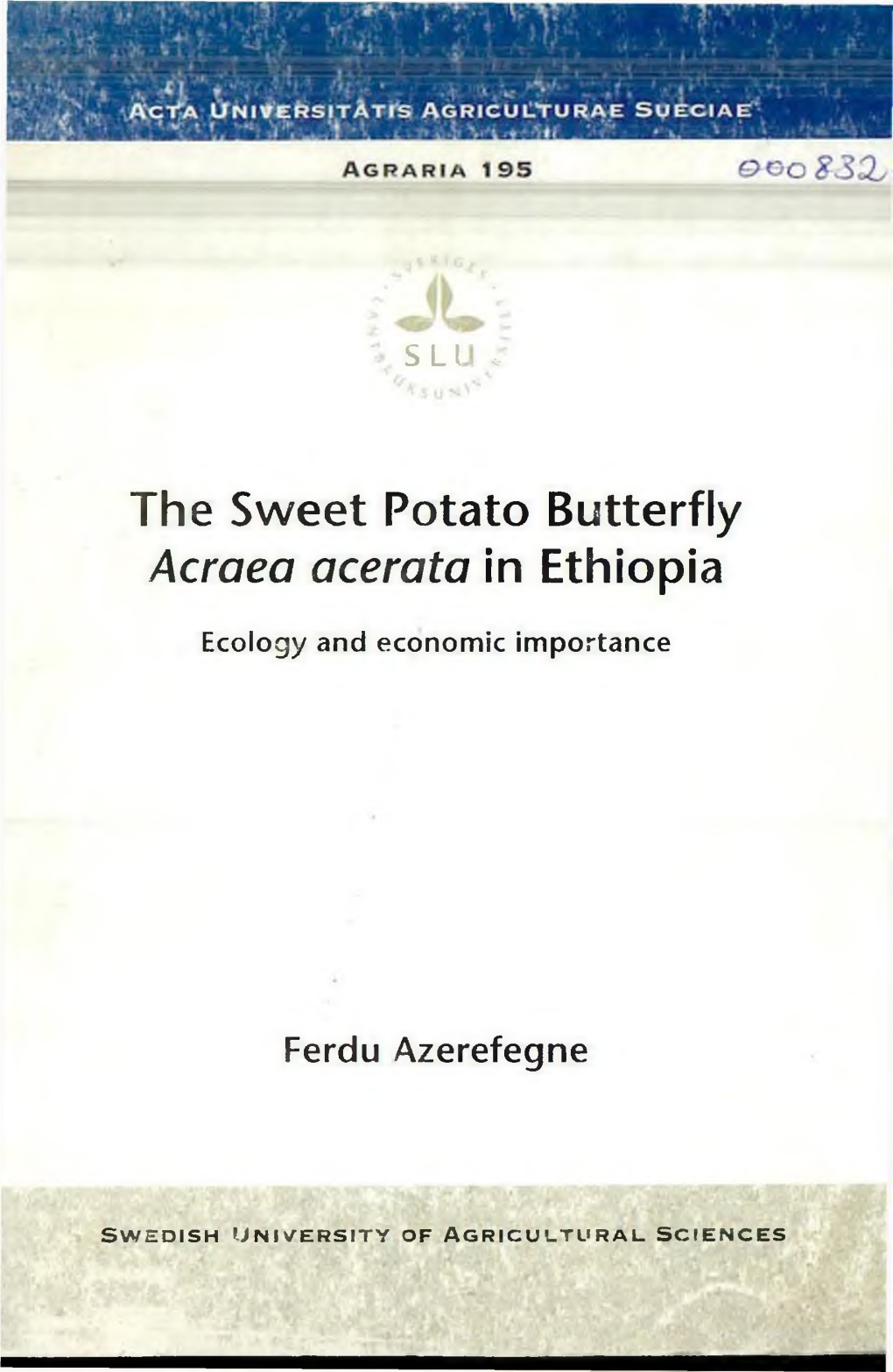 Acraea Acerata in Ethiopia