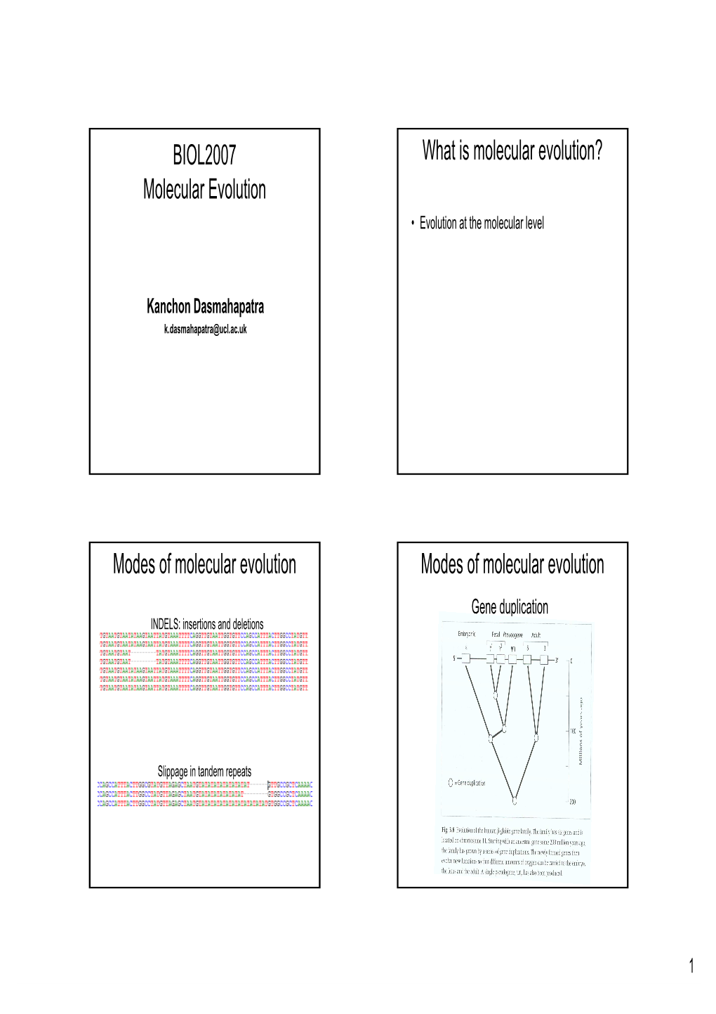 Molecular Evolution? Molecular Evolution • Evolution at the Molecular Level