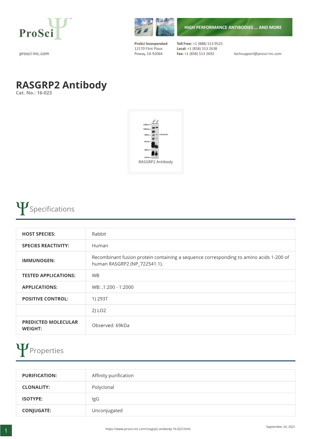 RASGRP2 Antibody Cat