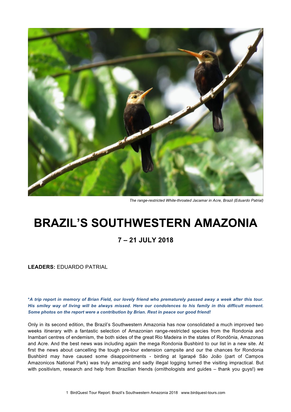 Brazil's Southwestern Amazonia