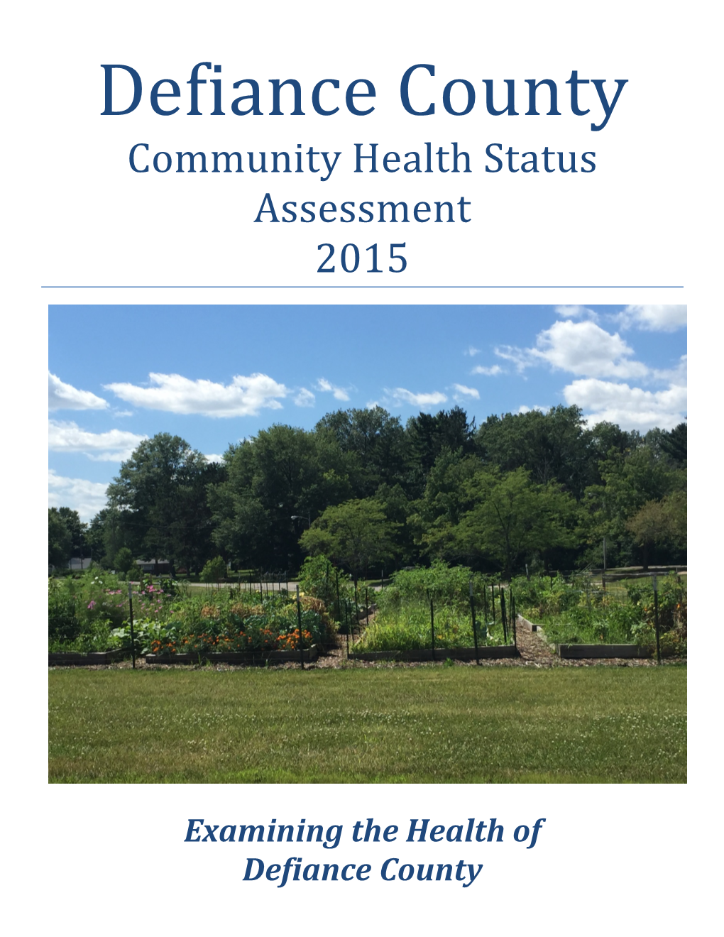 Defiance County Community Health Status Assessment 2015