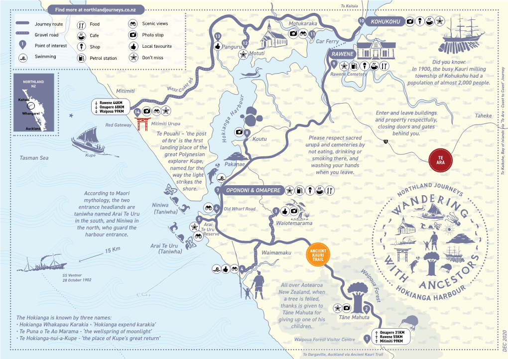 Pakanae Koutu Tasman Sea Did You Know: in 1900, the Busy Kauri