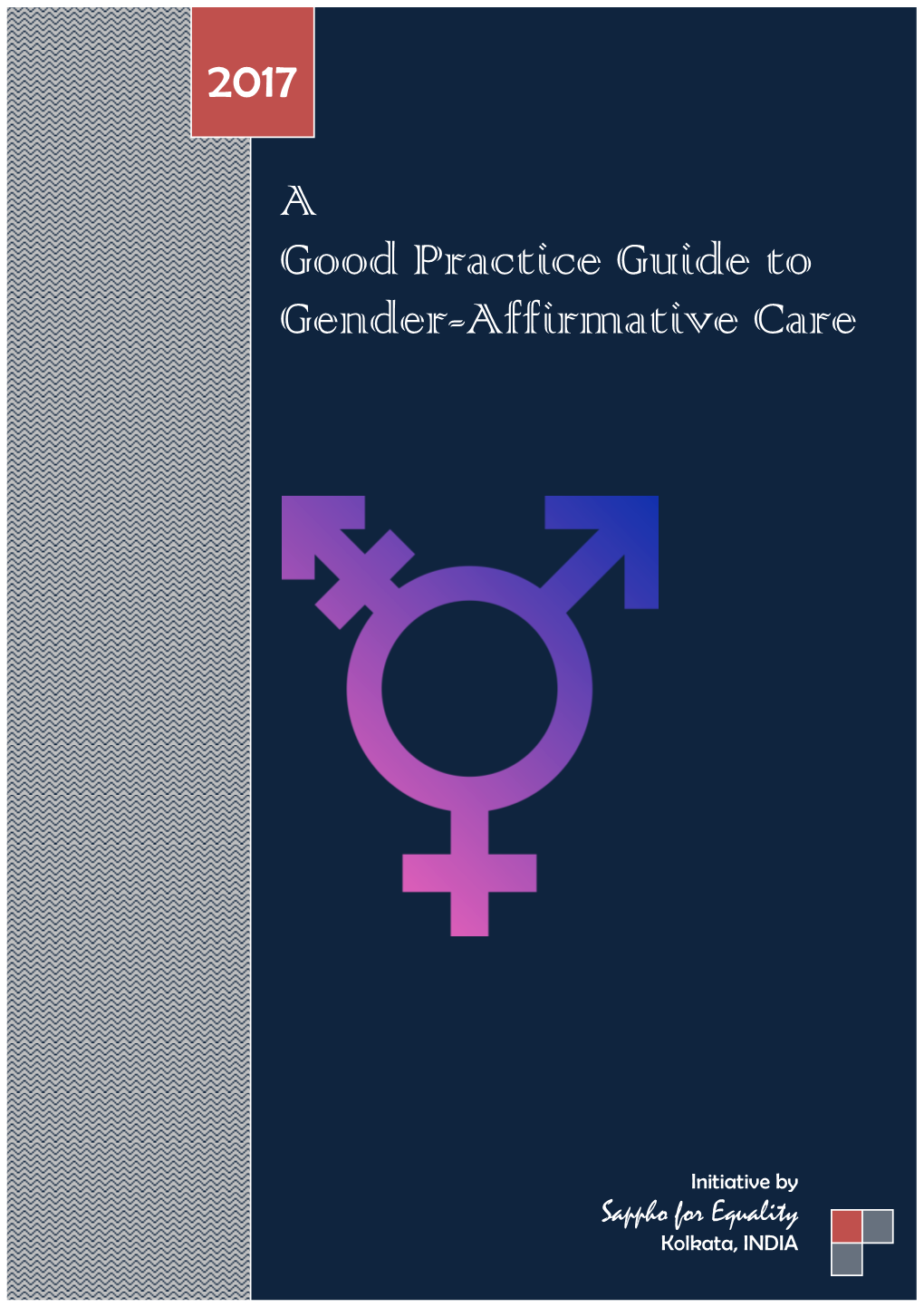 A Good Practice Guide to Gender-Affirmative Care