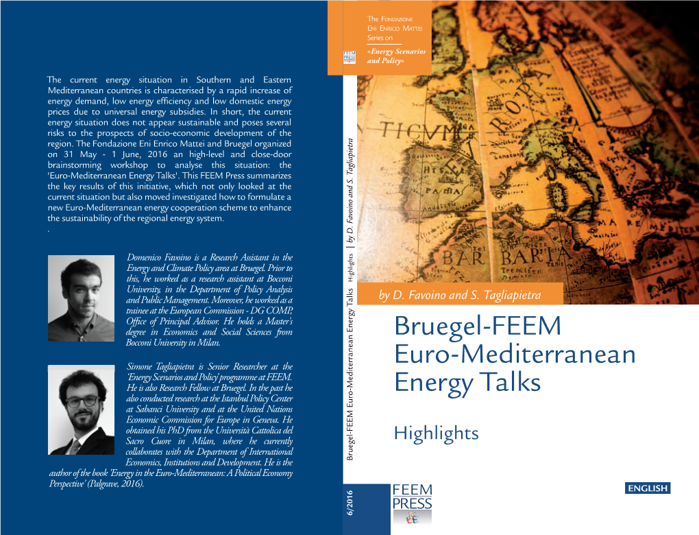 Bruegel-FEEM Euro-Mediterranean Energy Talks Author of the Book 'Energy in the Euro-Mediterranean: a Political Economy Perspective' (Palgrave, 2016)