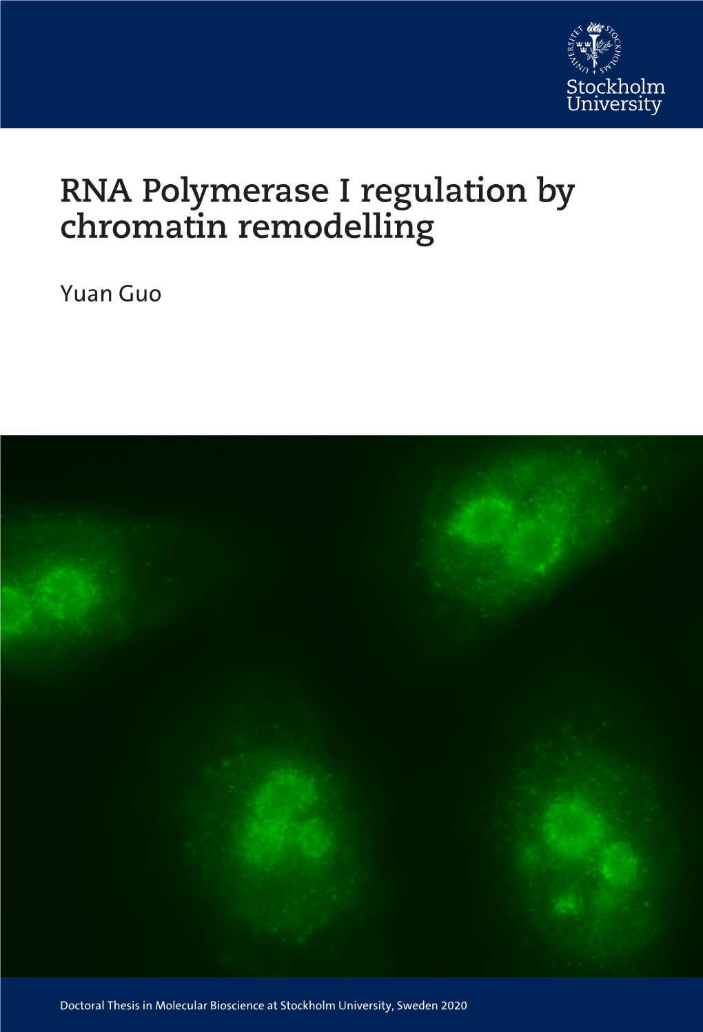 RNA Polymerase I Regulation by Chromatin Remodelling RNA Polymerase I Regulation by Chromatin Remodelling Yuan Guo