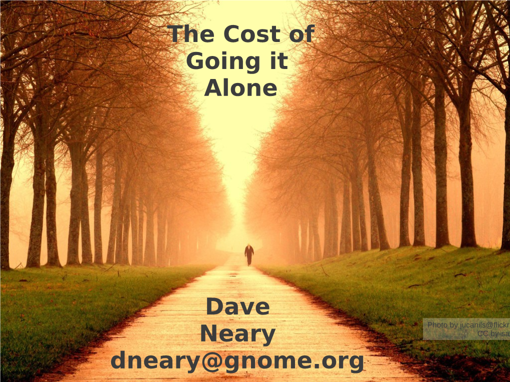 The Cost of Going It Alone Dave Neary Dneary@Gnome.Org