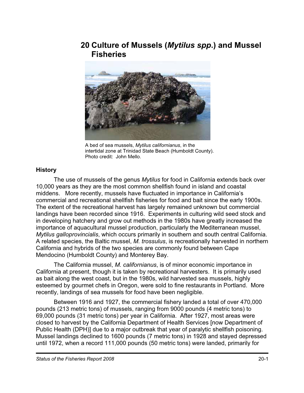 20 Culture of Mussels (Mytilus Spp.) and Mussel Fisheries