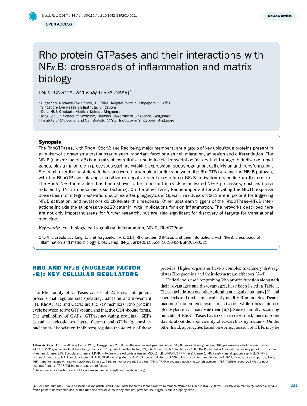 Rho Protein Gtpases and Their Interactions with Nfκb: Crossroads of Inﬂammation and Matrix Biology