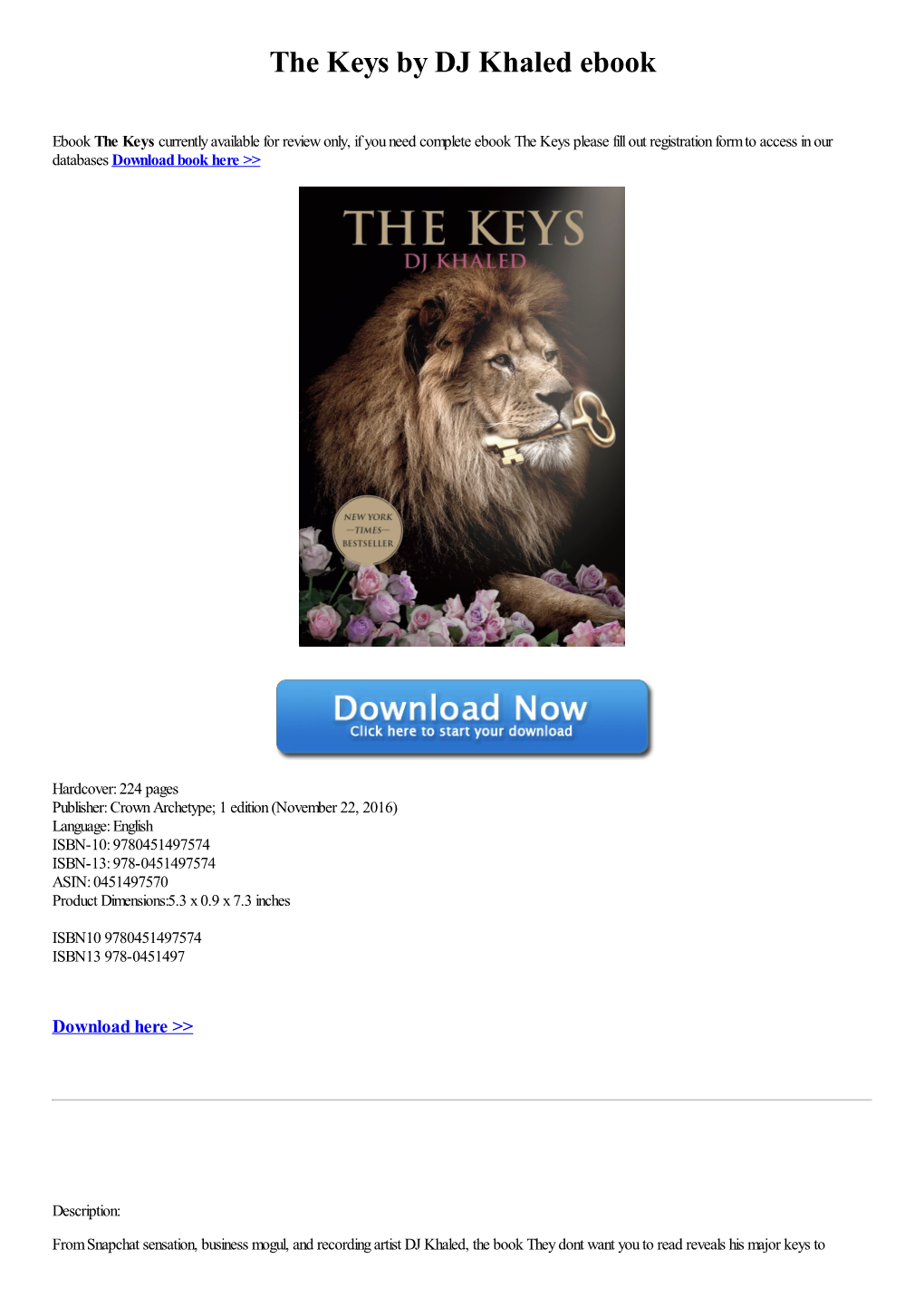 The Keys by DJ Khaled Ebook