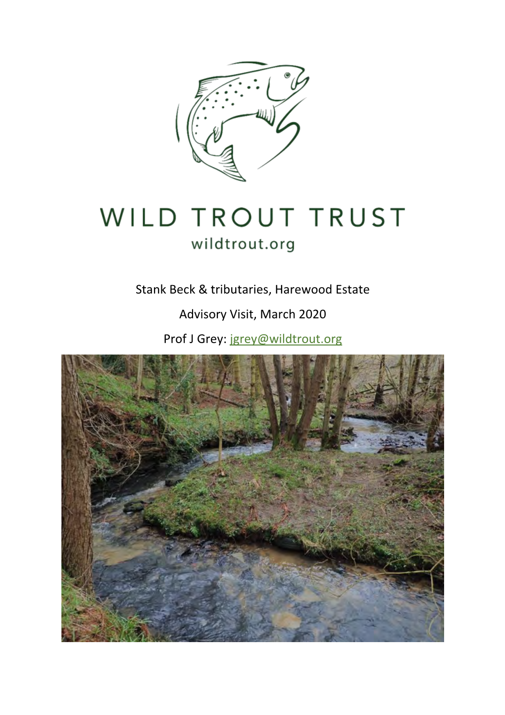 Stank Beck & Tributaries, Harewood Estate Advisory Visit, March 2020 Prof J Grey