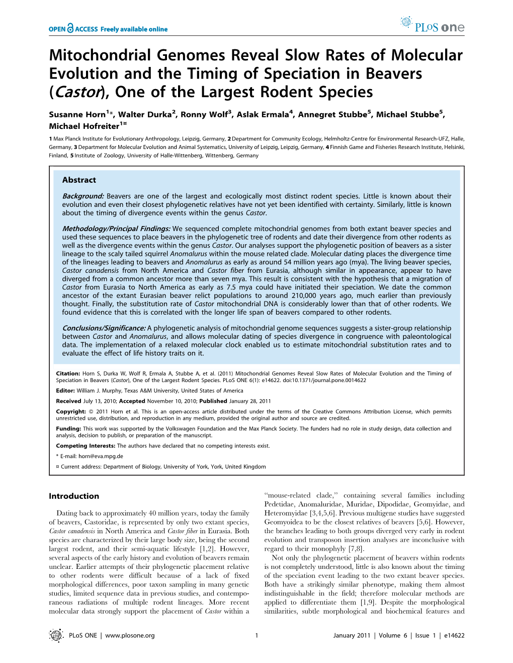 Mitochondrial Genomes Reveal Slow Rates of Molecular Evolution and the Timing of Speciation in Beavers (Castor), One of the Largest Rodent Species