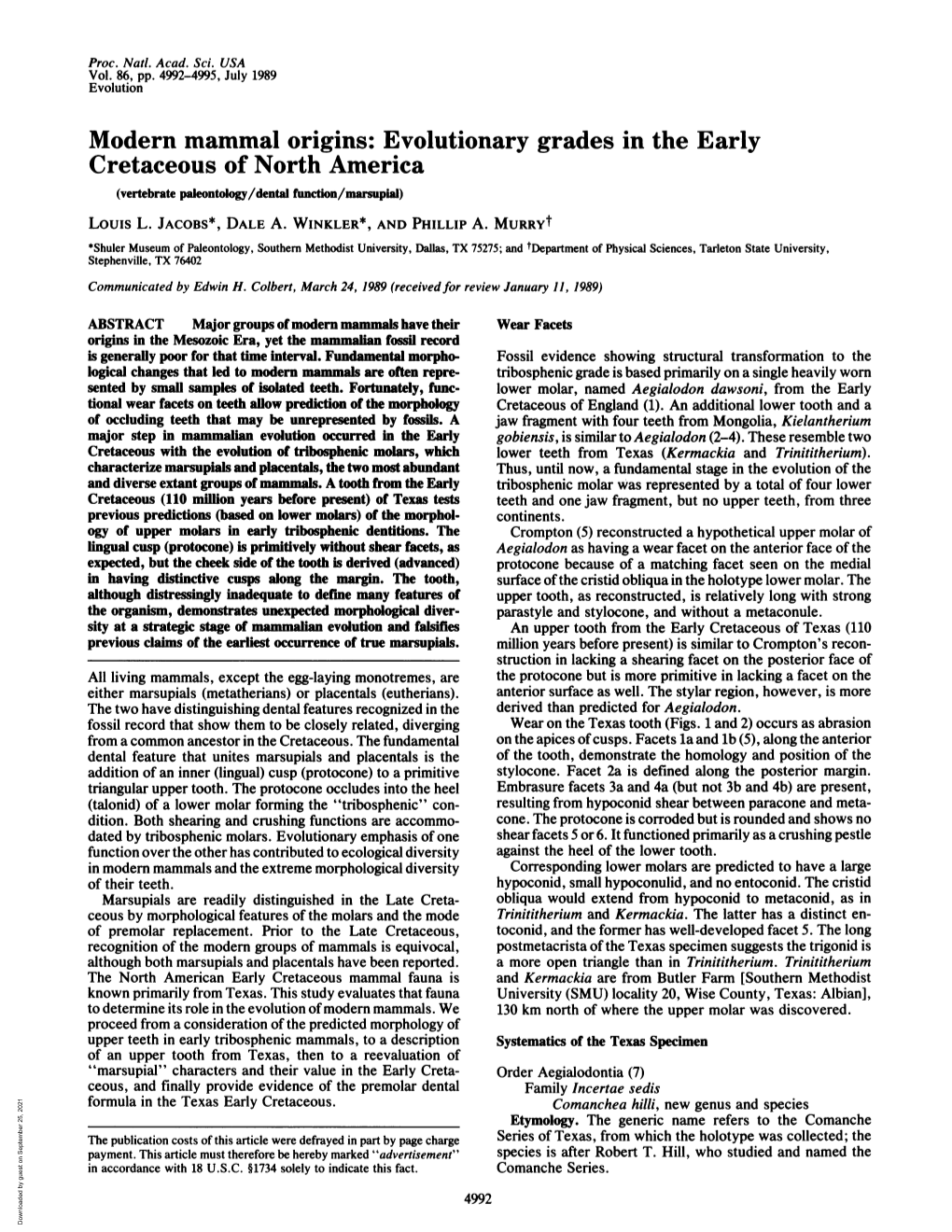 Cretaceous of North America (Vertebrate Paleontology/Dental Function/Marsupial) Louis L