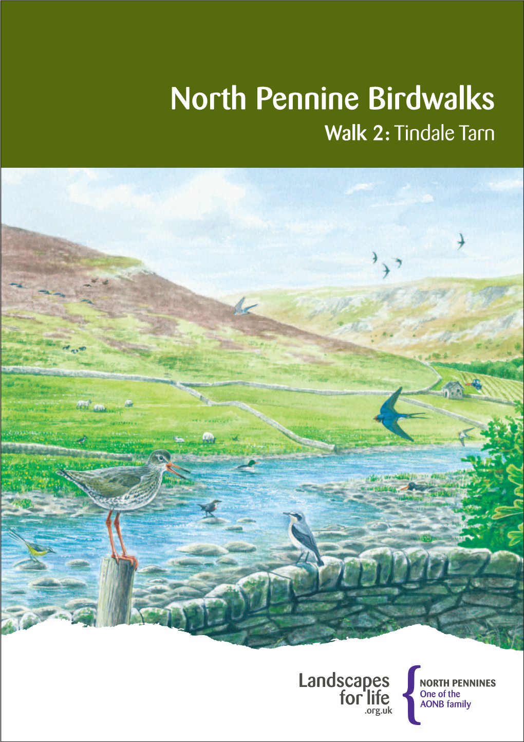 Birdwalks Walk 2: Tindale Tarn the Birdwatchers Code of Conduct