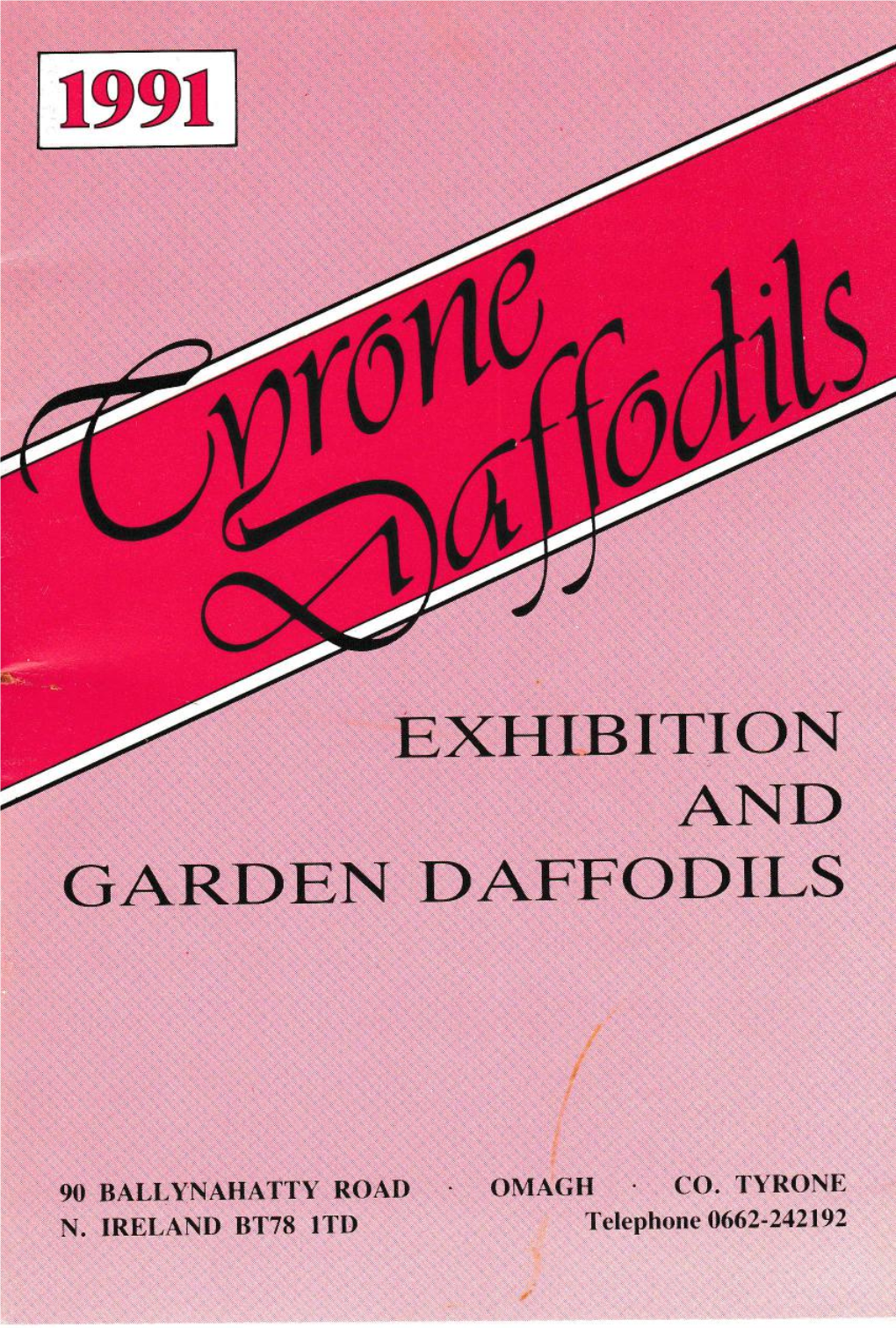 Tyrone Daffodils, 1991