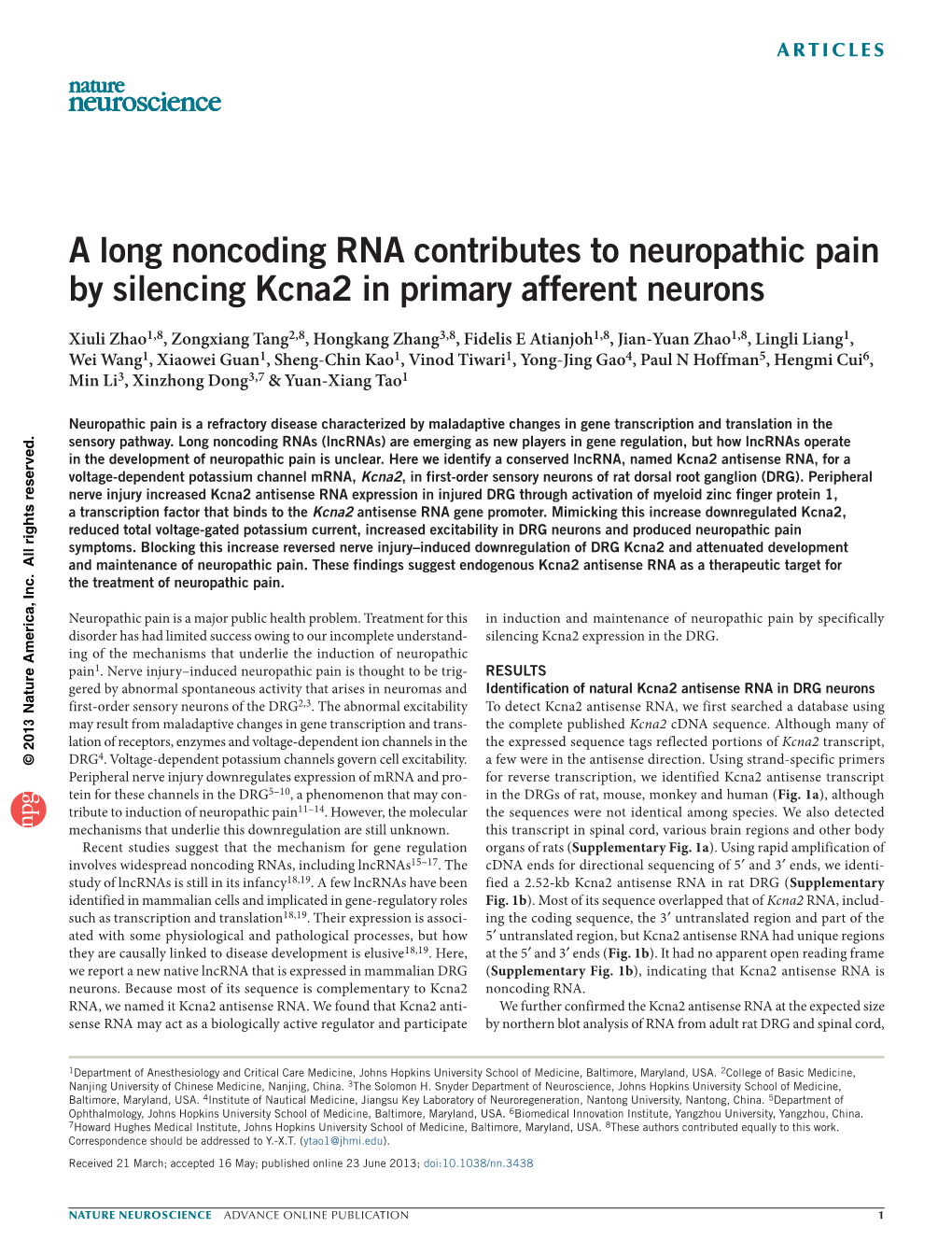 A Long Noncoding RNA Contributes to Neuropathic Pain by Silencing