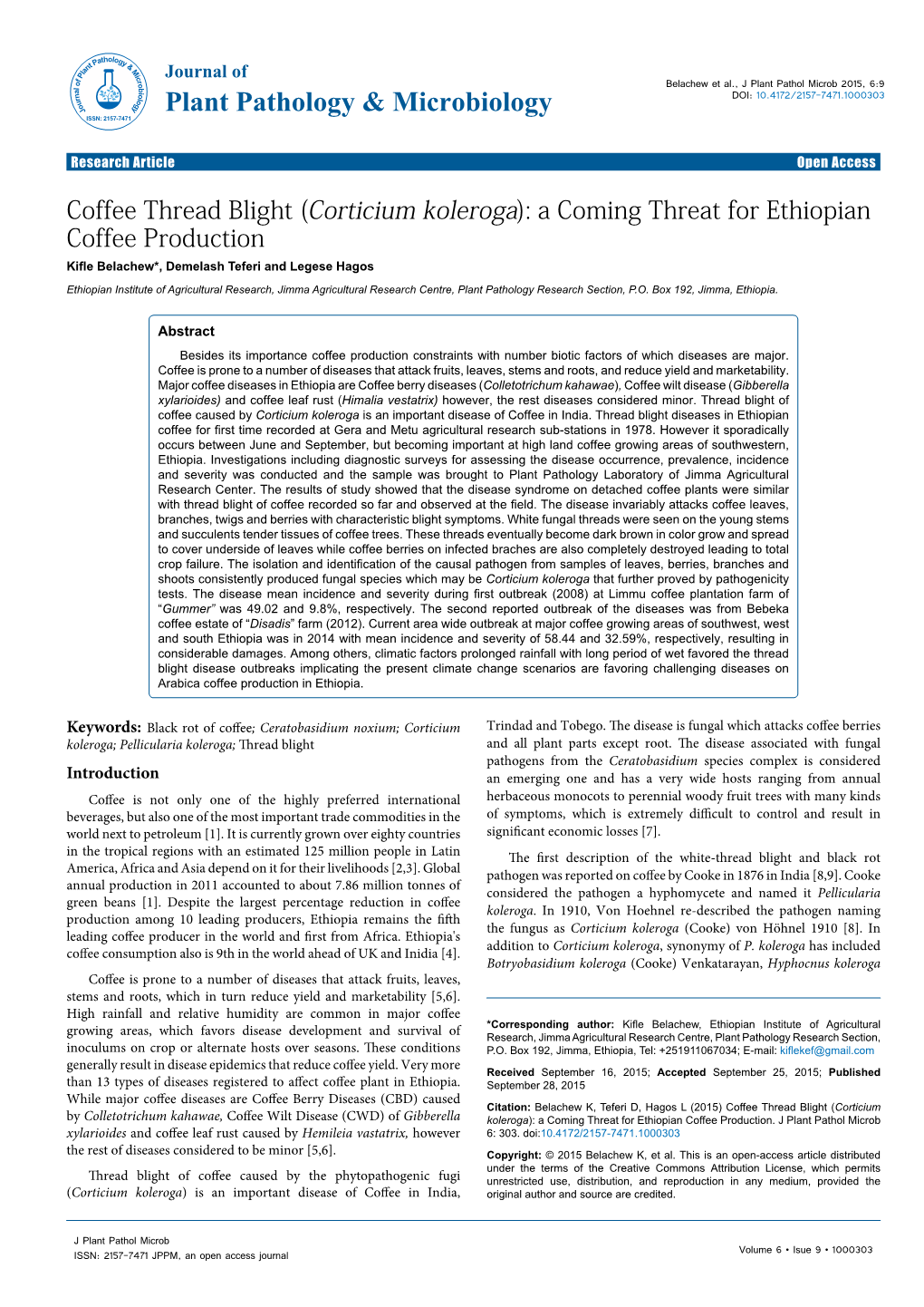 Coffee Thread Blight (Corticium Koleroga)