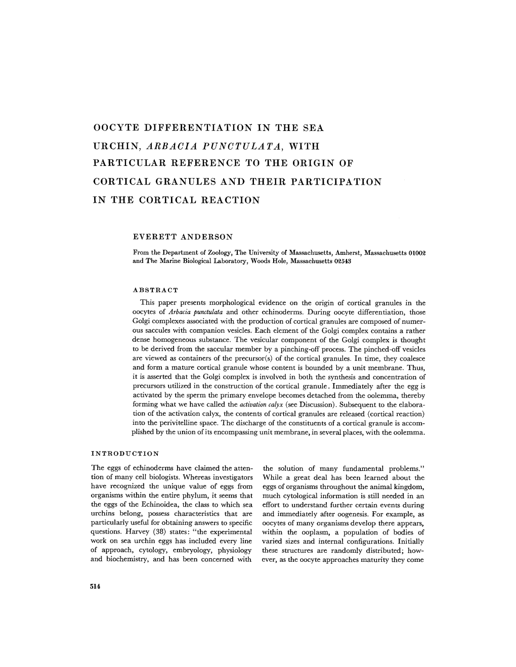 Oocyte Differentiation in the Sea Urchin, Arbacia Punctulata, with Particular Reference to the Origin of Cortical Granules and T