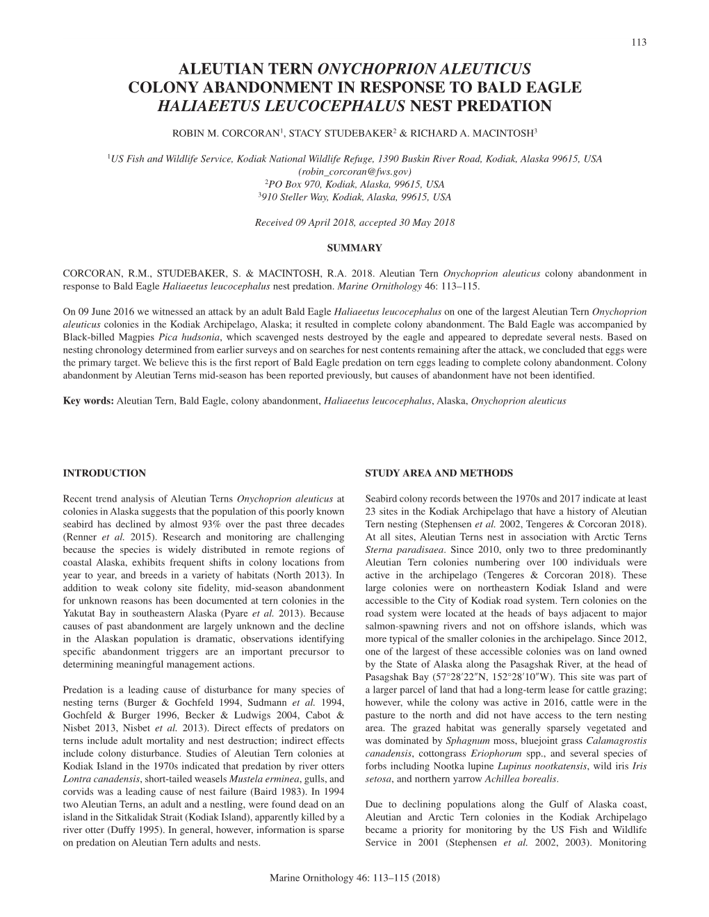Aleutian Tern Onychoprion Aleuticus Colony Abandonment in Response to Bald Eagle Haliaeetus Leucocephalus Nest Predation