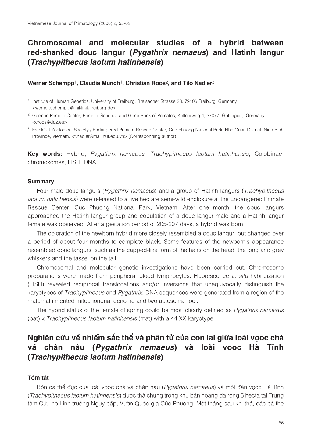 Chromosomal and Molecular Studies of a Hybrid Between Red-Shanked Douc Langur (Pygathrix Nemaeus) and Hatinh Langur (Trachypithe