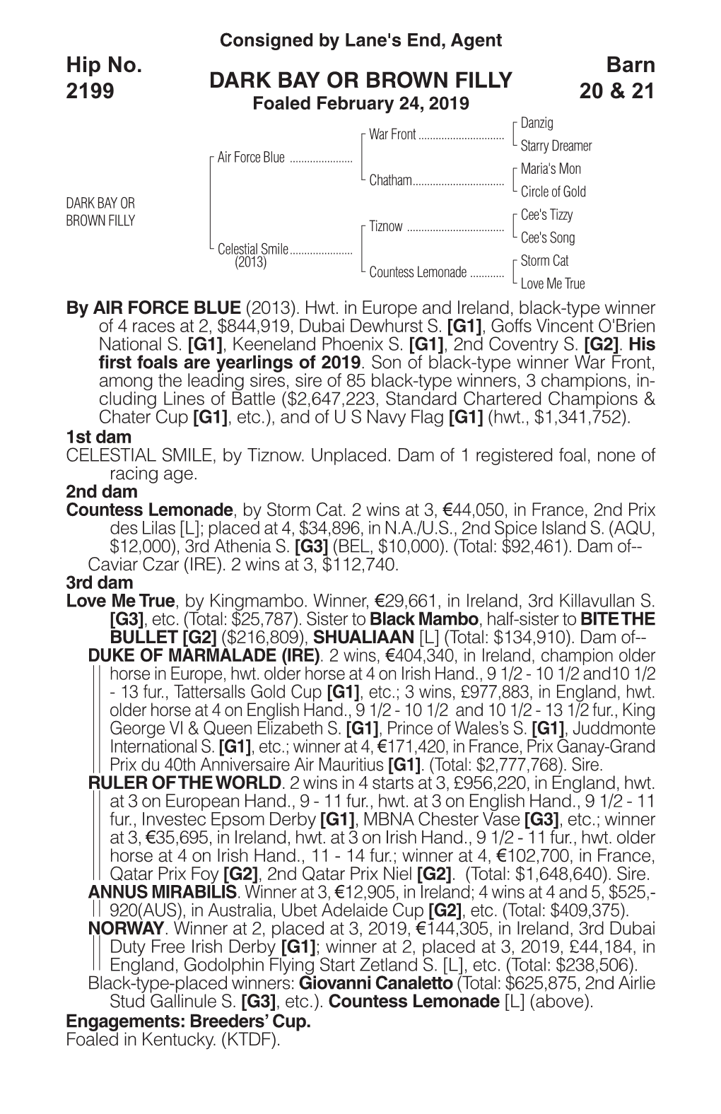 DARK BAY OR BROWN FILLY Barn 20 & 21 Hip No. 2199