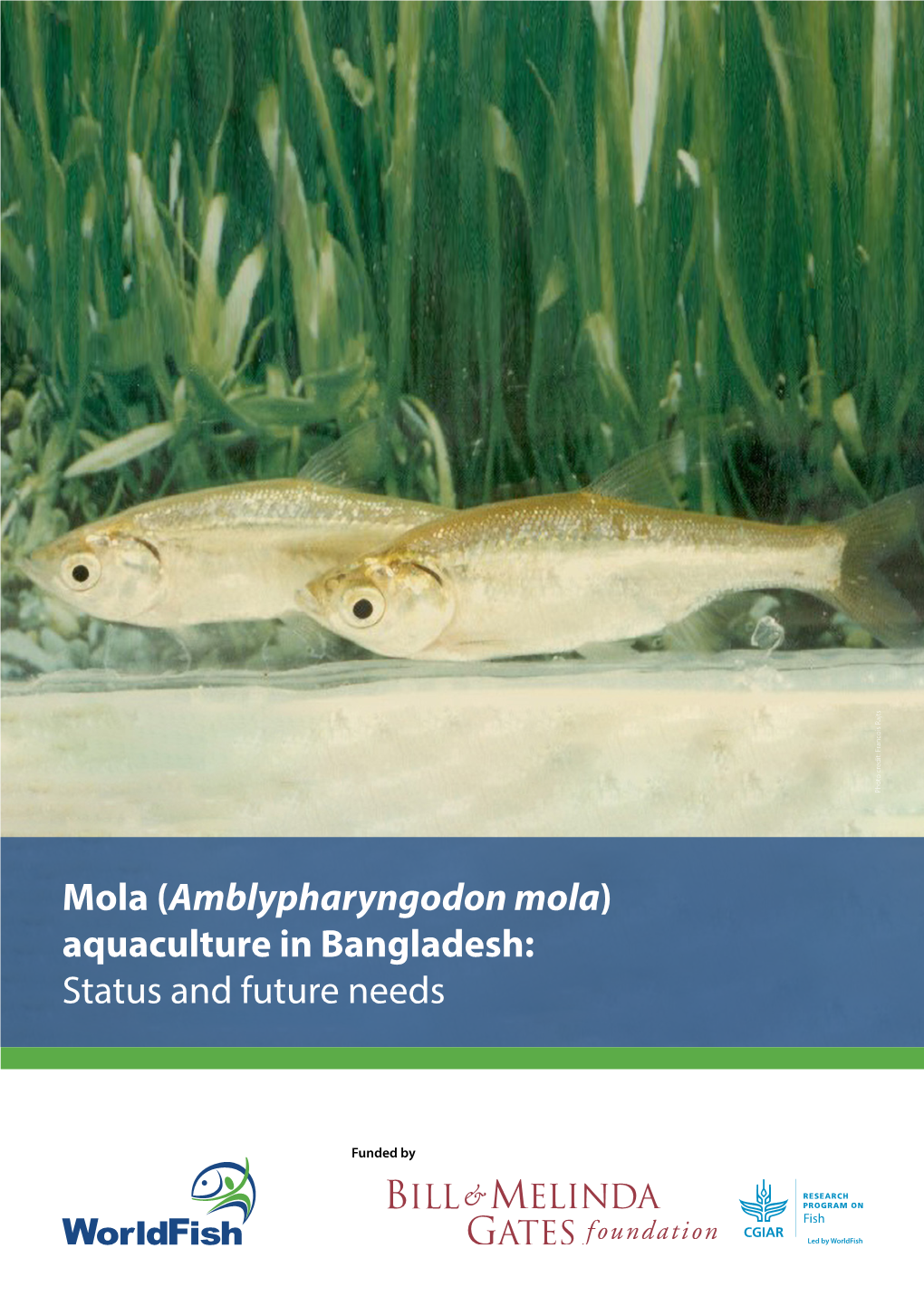 Amblypharyngodon Mola Funded By