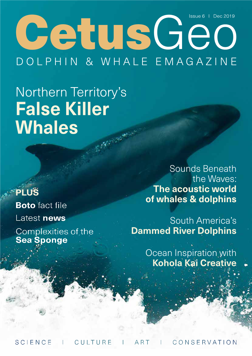False Killer Whales