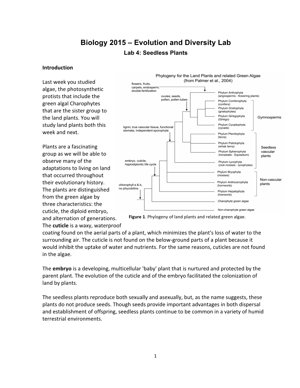 Biology 2015 – Evolution and Diversity Lab Lab 4: Seedless Plants