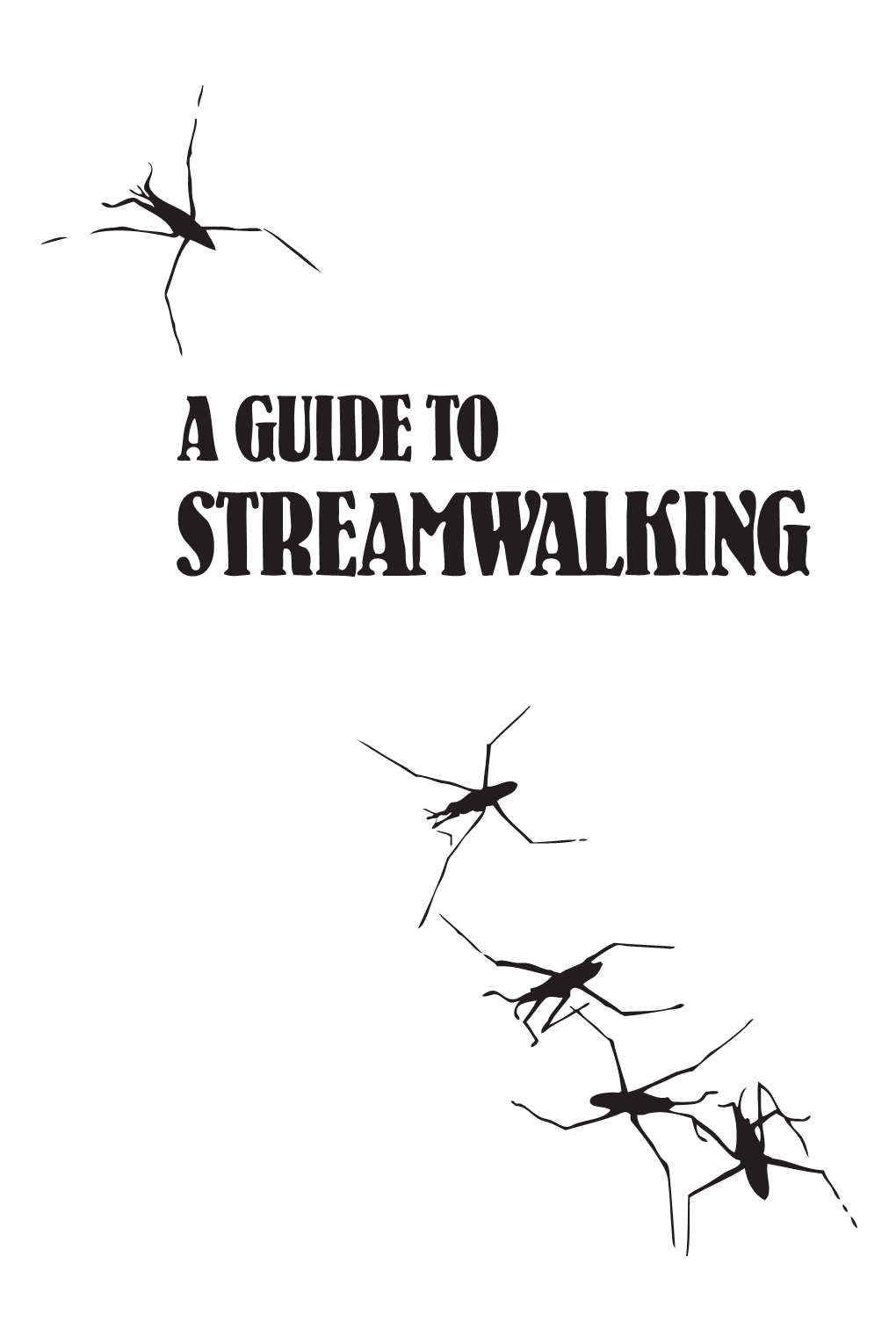 A Guide to Streamwalking